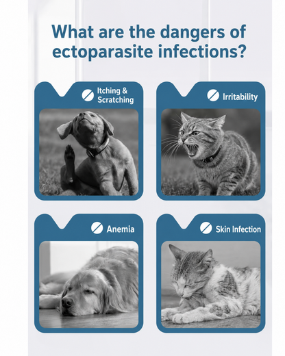 🐕30 Days Flea and Tick Free